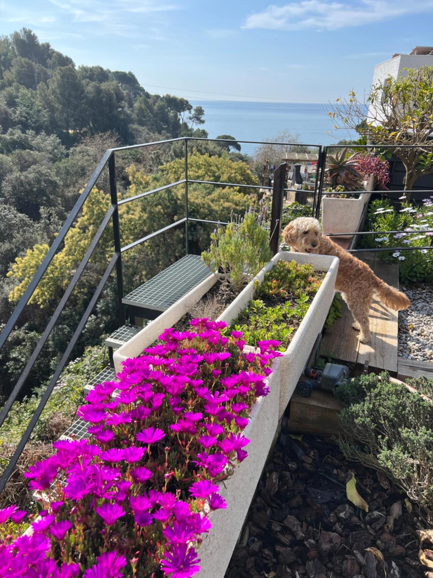 Casa Karian Daire Tossa de Mar Dış mekan fotoğraf